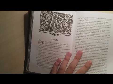 Обзор книги КВ " Долгое эхо "