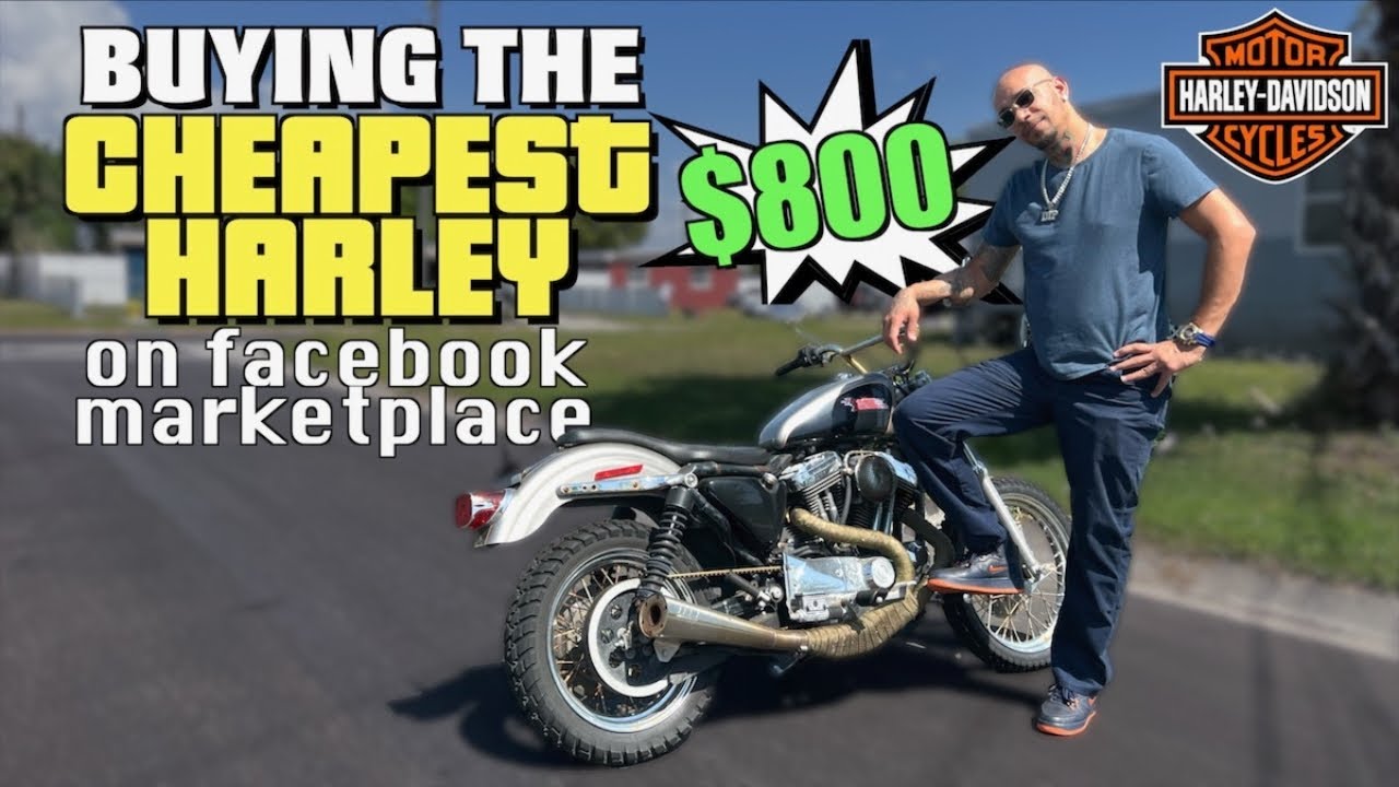 cheapest place to buy a harley