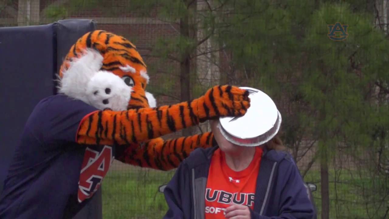 aubie the tiger stuffed animal