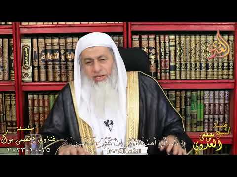 حكم صناعة أفلام الكرتون التي تخدم الدين للشيخ مصطفي العدوي 