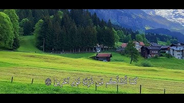 وَرَبُّكَ الْغَنِيُّ ذُو الرَّحْمَةِ ۚ / سورة الأنعام - ماهر المعيقلي