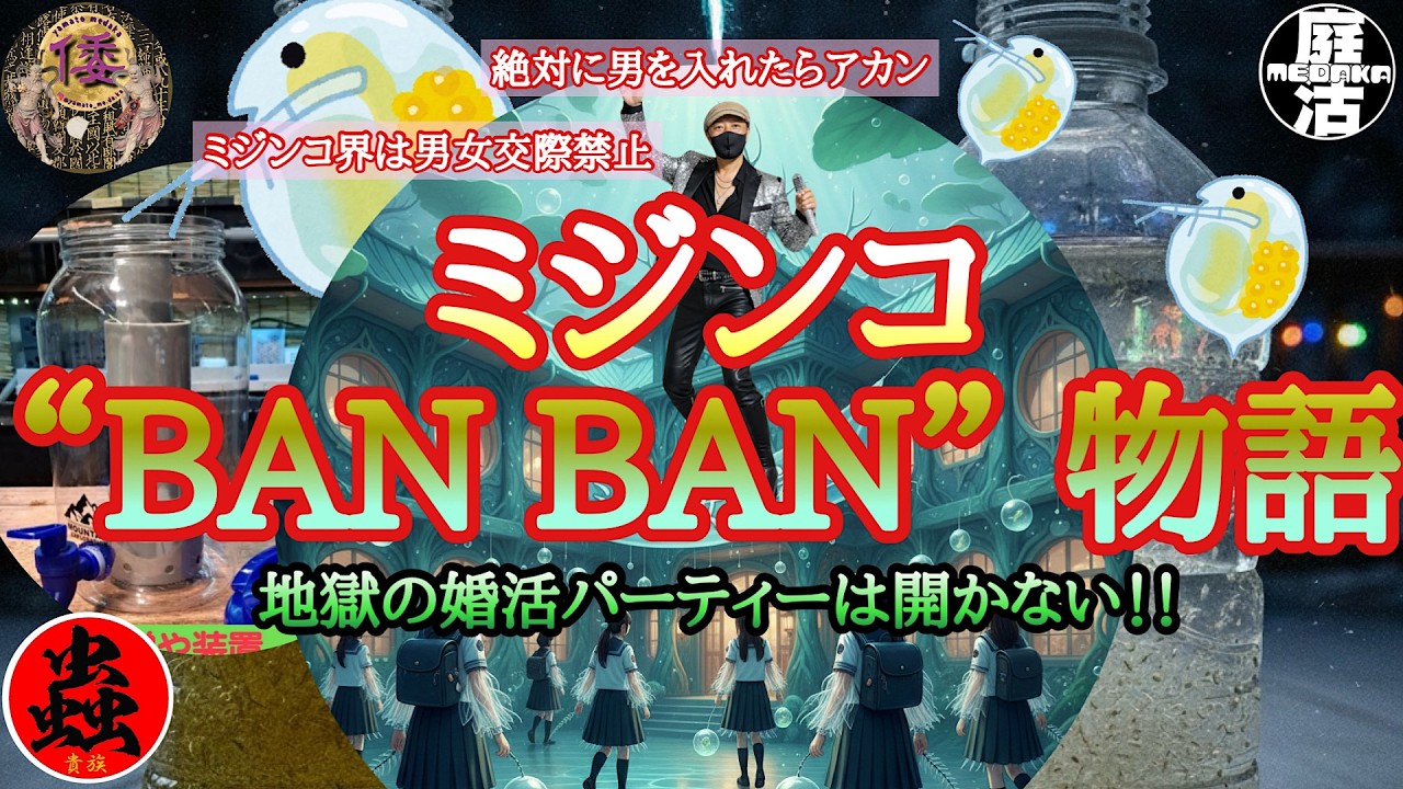 （メダカ）ミジンコ“BAN BAN”物語‼️地獄の婚活パーティーは開かない！w