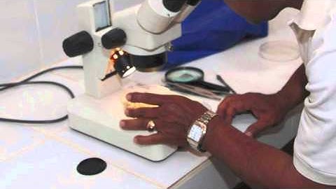 Behavior Change Communication Campaign: Special Event: Celebrating Ten Years of Collaboration