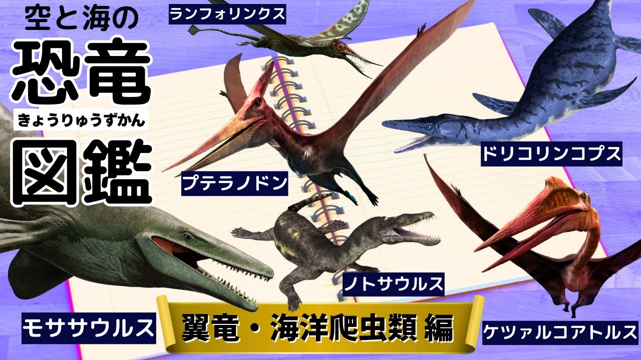 空と海の恐竜図鑑】翼竜・海洋爬虫類編【プテラノドン