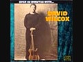 Somethin's Shakin' - David Wilcox