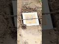 survival SKills SIMPLE and USEFUL in the best #bushcrarft #campping #outdoors