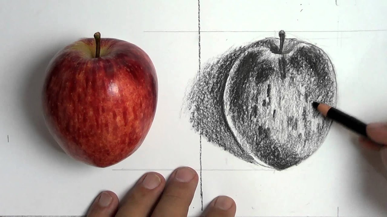 Desenho de Observação / Maçã - YouTube