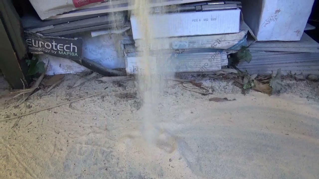 Le périple de la Fourmis Acrobate