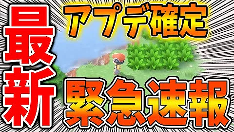 ダイパリメイクゴツゴツメット