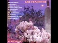 NO ME PERSIGAS LAS TEJANITAS