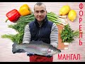 ФОРЕЛЬ НА МАНГАЛЕ С СОУСОМ БЕШАМЕЛЬ