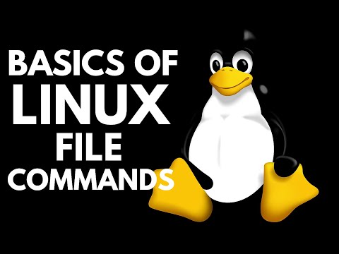 6 Red Hat Linux Mastery | Linux Essentials to Expert Masterclass | Hunt The Skills