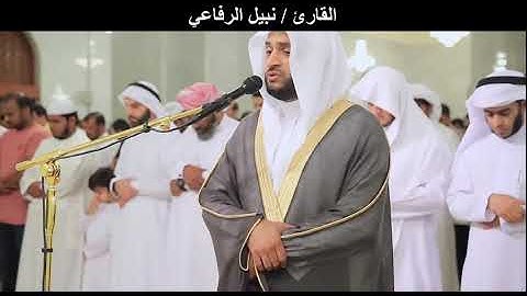 سورة فاطر .. الآيات ( ١٢ _ ١٤)