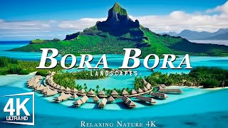 Bora Bora ในรูปแบบ 4K - ภาพยนตร์ผ่อนคลายทิวทัศน์ชนบทเขตร้อนที่สวยงาม