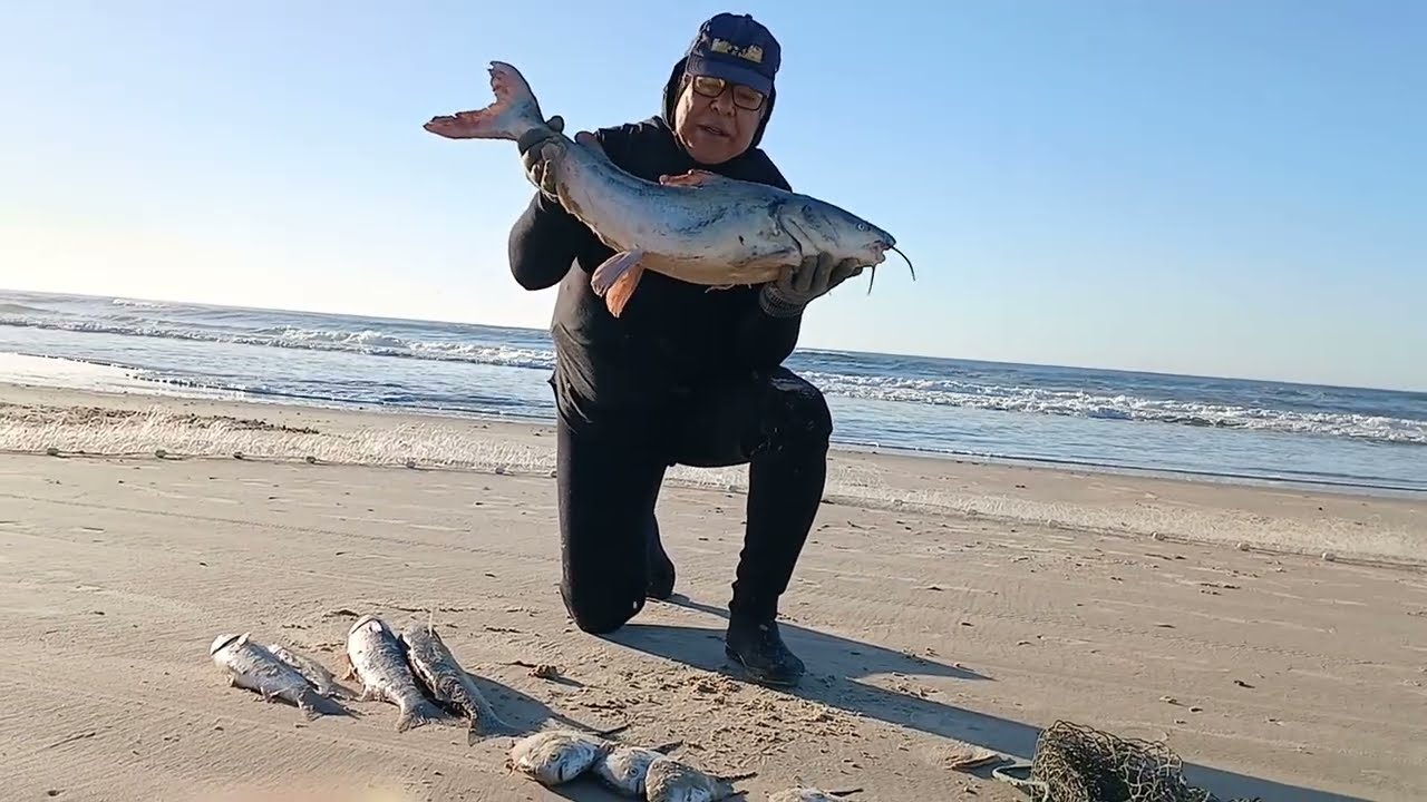 Bagre Grande Tainhas, Pampos