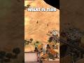 This Fight Makes No Sense | AoE2, #aoe2, #ageofempires2