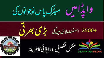 PESCO Wapda ALM Jobs | Assistant Lineman Jobs 2022 | Latest Pesco Jobs Online apply | LearningPedia