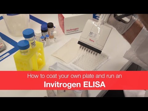 How to coat your own plate and run an Invitrogen ELISA kit