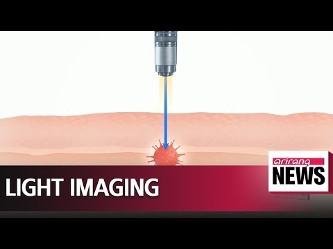 Korean scientists develop technique to peer through mouse skull using light