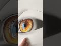 Realistic eye drawing  subscribe for art tips  tricks  artist rohit  shorts