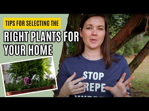 How can I find the right plants for me? | Catherine Arensberg