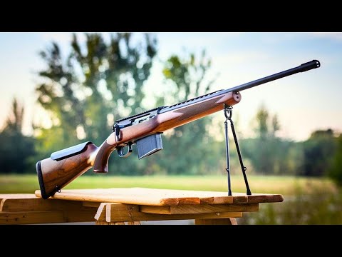 Top 10 Best Air Rifles of 2025 | Features That Will Change Your Shooting Experience IN 2025!