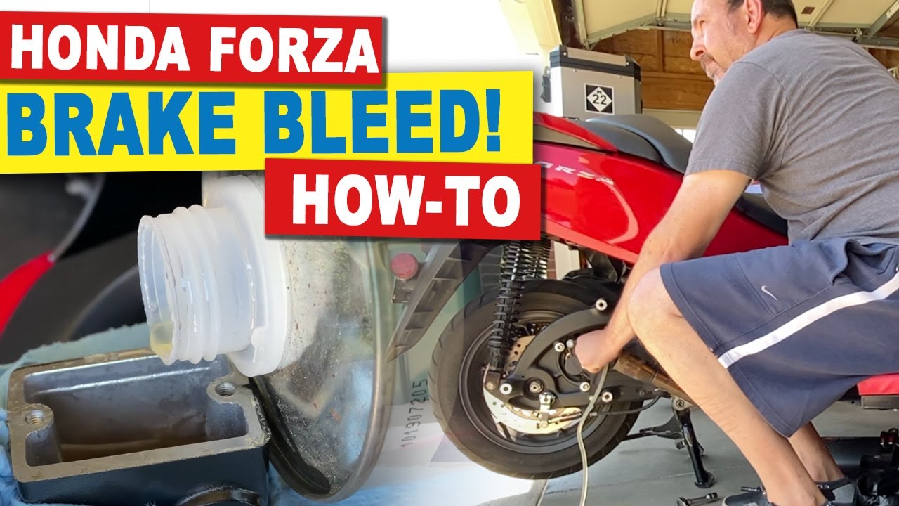 Honda Forza 300 How-To Flush/Bleed Brakes (NSS300)