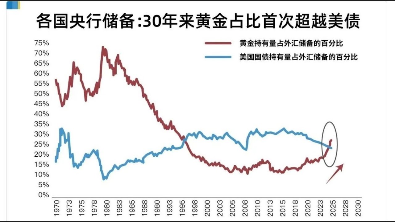 各国央行储备：30年来黄金占比首次超越美债- YouTube