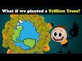 What if we planted a Trillion Trees? + more videos | #aumsum #kids #science #education #children