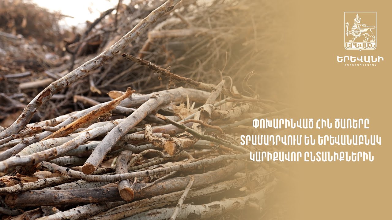 1500 կենսունակության ավարտին մոտ և  տապալման ենթակա ծառ է հեռացրել մայրաքաղաքի փողոցներից