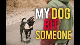 Why did my dog bite? Did my dog bite from aggression? - Dog Training with America's Canine Educator