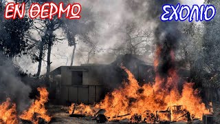 Σταύρος Λυγερός - Ποιοι ευθύνονται για τις πυρκαγιές