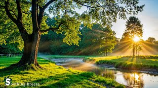 Great Relaxing Peaceful Heals The Heart And Blood Vessels