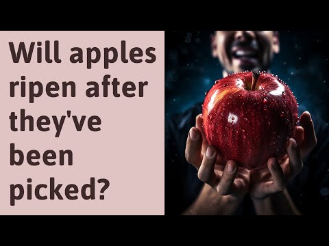 Video: Wanneer zijn chehalis-appels rijp?