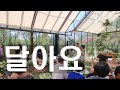 [축가] 달콤한 축가!!&#39;달아요&#39;- 박정현 야외결혼식과 잘어울리는 여자축가