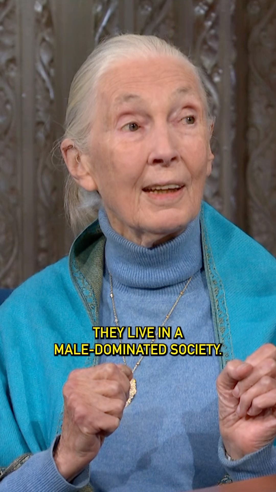 @janegoodallinst finds that some male politicians are not too different from chimpanzees. #colbert