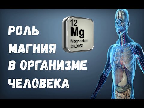 Роль Магния в Организме Человека