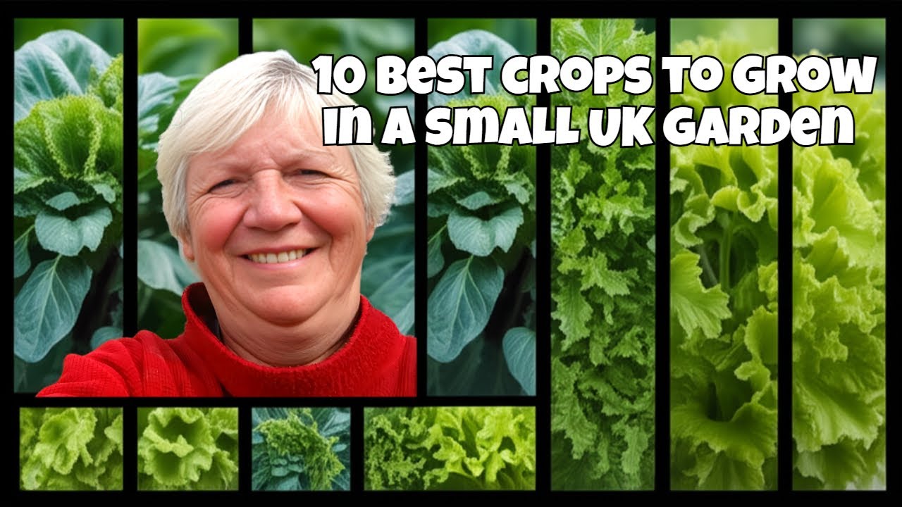 10 best self sufficient crops for a small UK garden - YouTube
