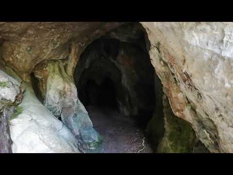 Video: Secretele Antice Ale Peșterii Poloneze Siemna, Locuite De Oameni în Urmă Cu 120.000 De Ani - Vedere Alternativă