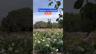 O que fazer em Buenos Aires - Temos um Guia de Viagem pra você 🇦🇷 #argentina #buenosaires