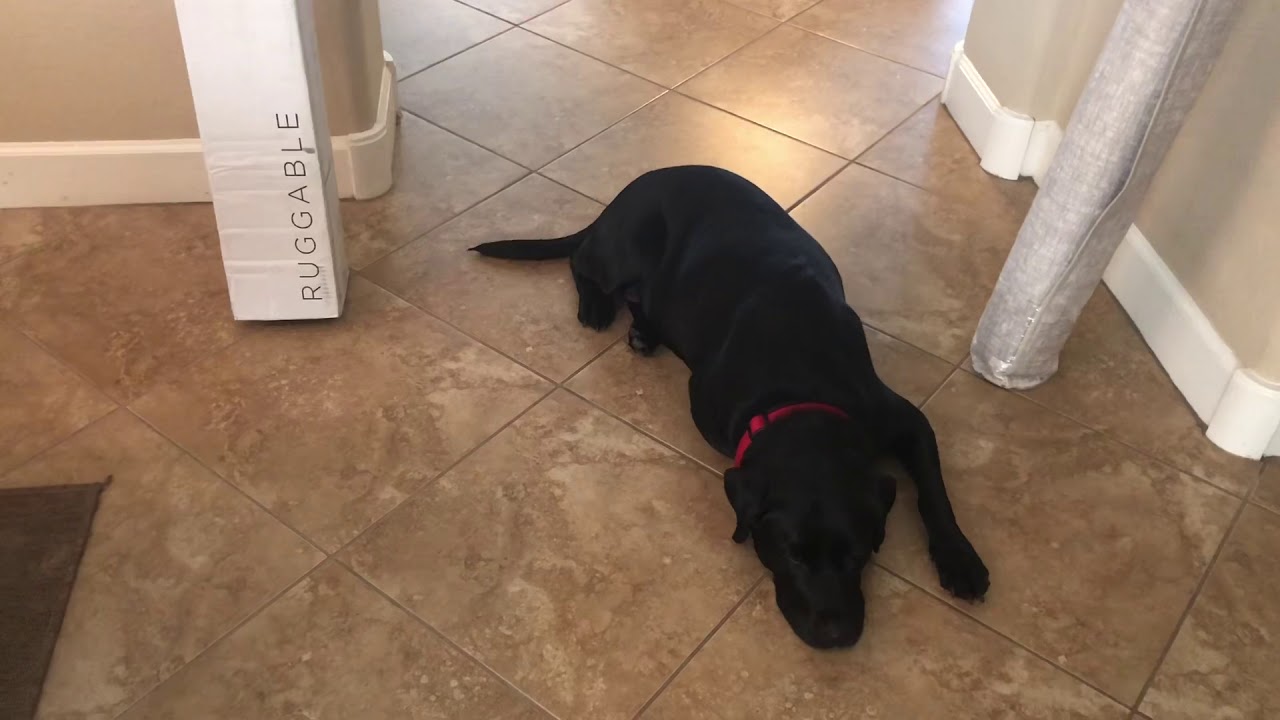 Ruggable Review YouTube