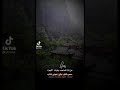 عن زله الصاحب وغرات الأجواء 