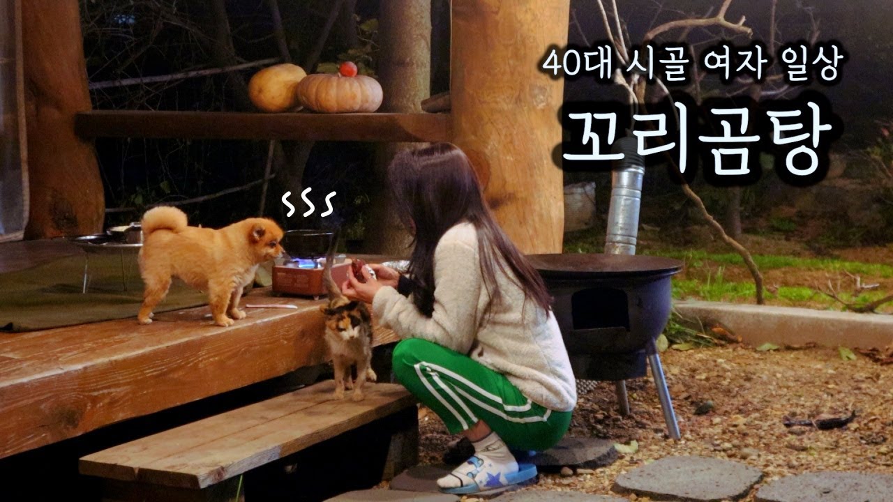 40대 시골 여자 일상ㅣ비 오는 날 가마솥에 꼬리곰탕 고아 혼술ㅣ가을은 수확의 계절(ft. 호박, 감, 호두, 사과)