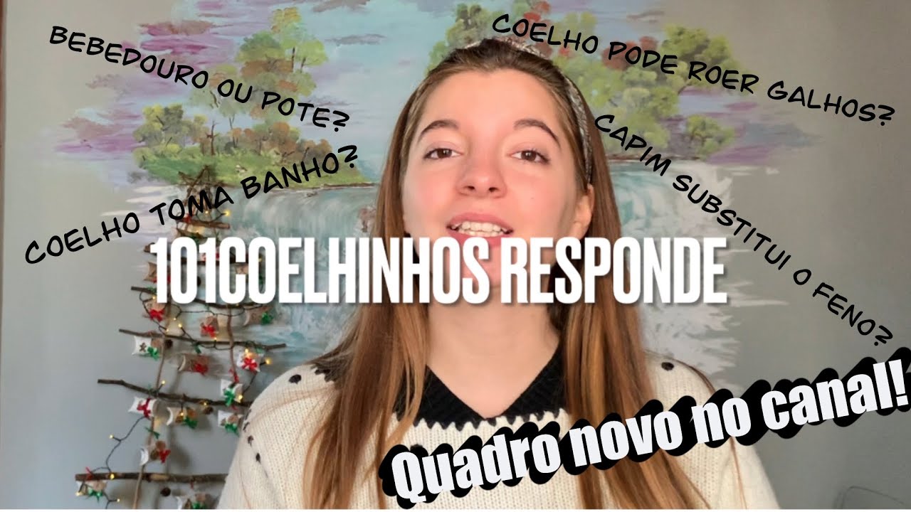 O QUE FAZER QUANDO UM COELHO NÃO COME - 101 COELHINHOS RESPONDE - Q&A