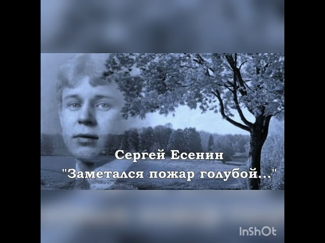 Изображение предпросмотра прочтения – Карина Стрельникова читает произведение «Заметался пожар голубой» С. А. Есенина