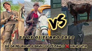 Vaqueiros - Bie Da Melancia & Bruno de Zé Paulo ❌ Vaca Cutia!! 25 de Outubro 2022!