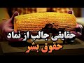 منشور کوروش کبیر نماد و اساس حقوق بشر