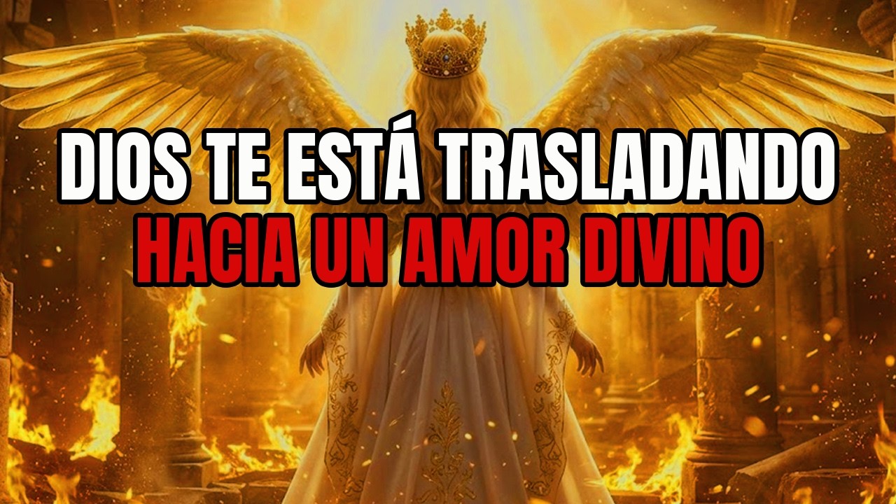 ELEGIDO: AQUÍ ES DONDE CONOCERÁS AL AMOR DE TU VIDA… PREPÁRATE 💖✨