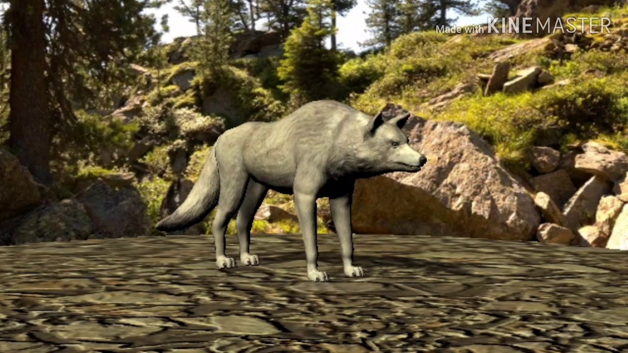 Dire Wolf Sound Effects YouTube