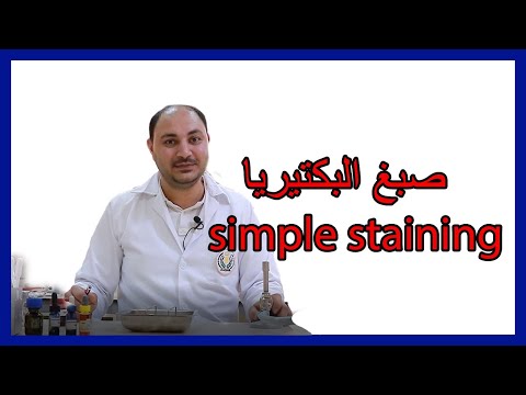 فيديو: ما هو مبدأ التلوين البسيط؟